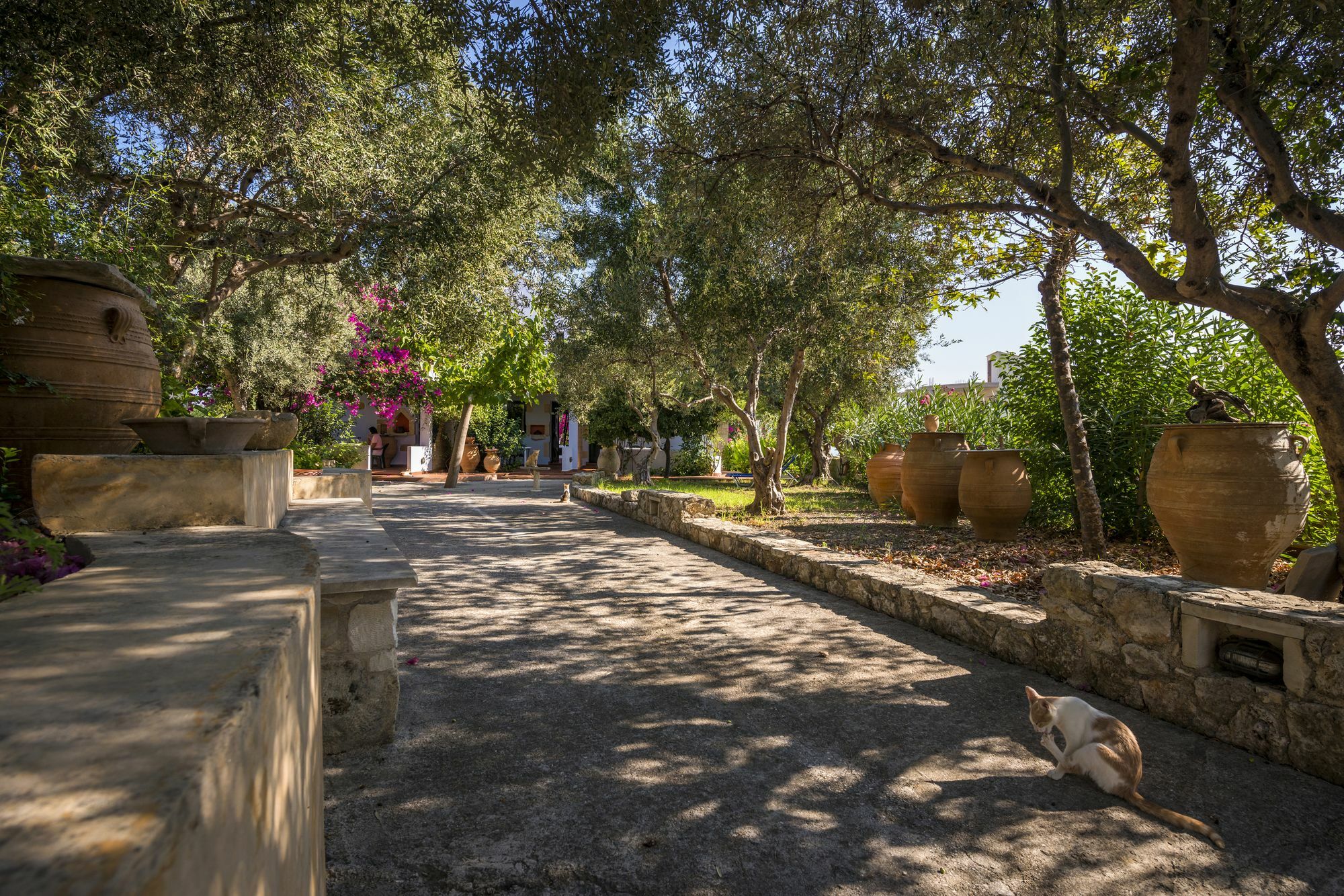 Orionas Village Kato Daratso Luaran gambar